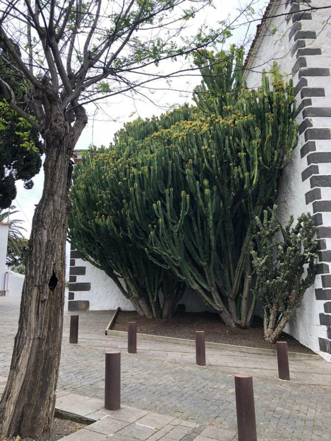 Estacion Camacho Daire Tacoronte Dış mekan fotoğraf